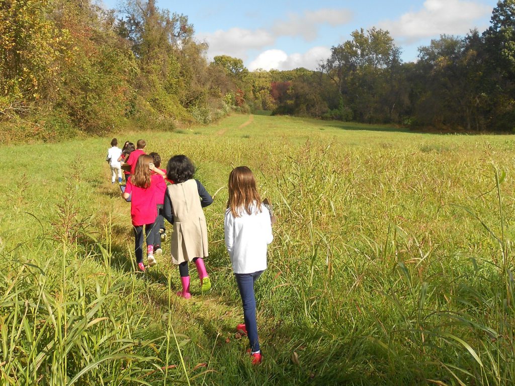 Elementary students on a nature walk through a field