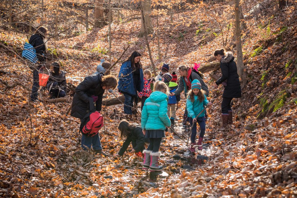 Elementary teachers and students examining a creek bed full of leaves