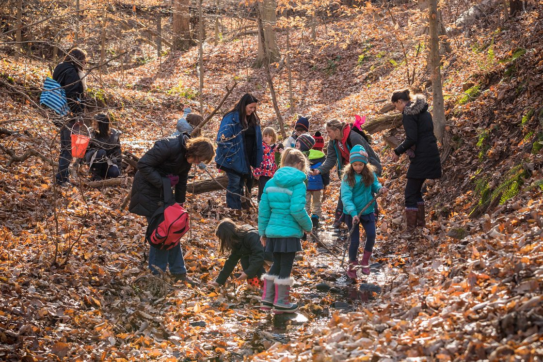 Administrative and Academic Staff at Seneca Academy Seneca Academy