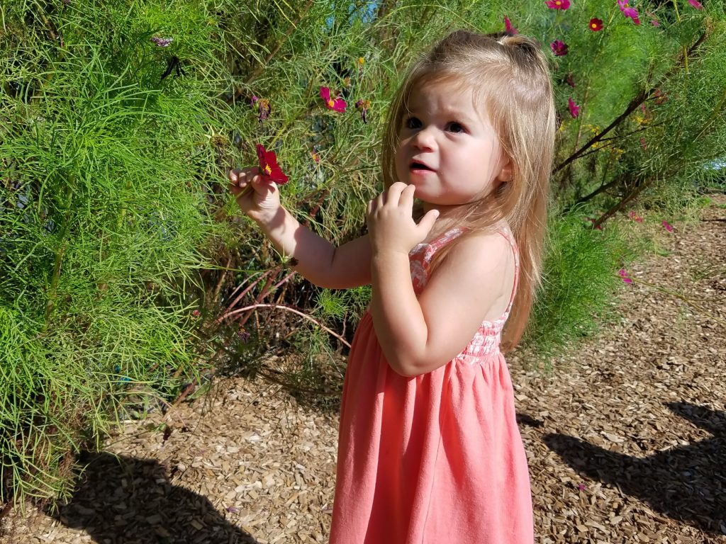 2 year old girls
