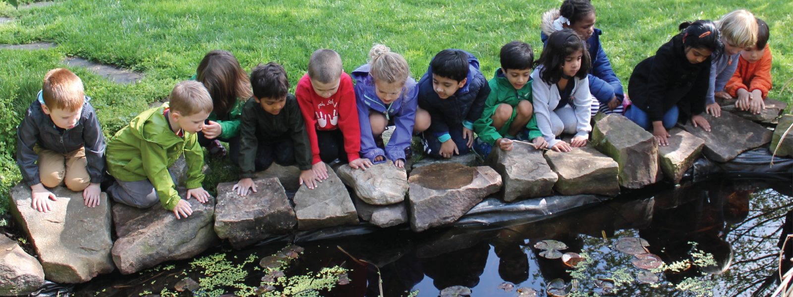 a group of preschool friends kneeling on the rocks at the edge of a pond
